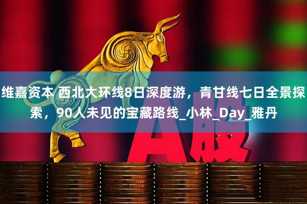 维嘉资本 西北大环线8日深度游，青甘线七日全景探索，90人未见的宝藏路线_小林_Day_雅丹