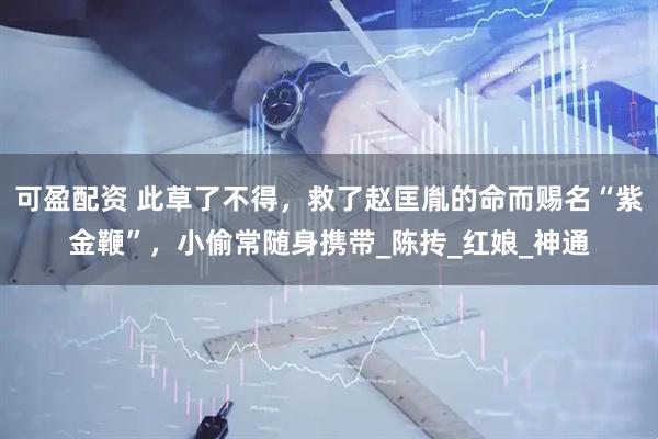 可盈配资 此草了不得，救了赵匡胤的命而赐名“紫金鞭”，小偷常随身携带_陈抟_红娘_神通